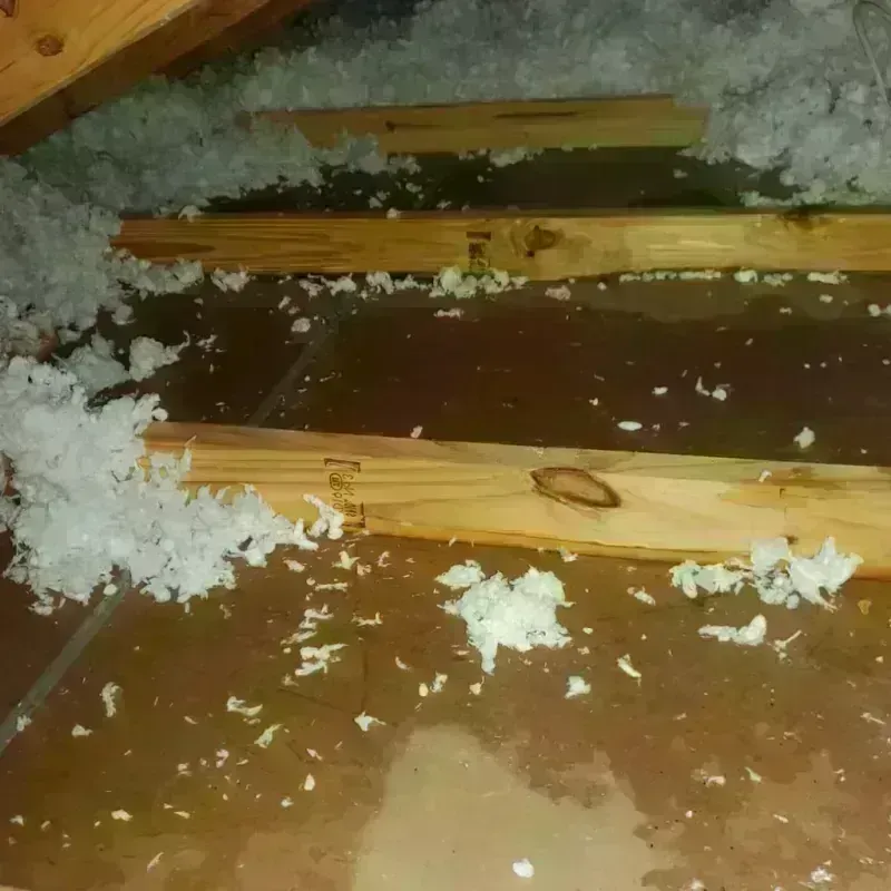 Attic Water Damage in Logan County, NE